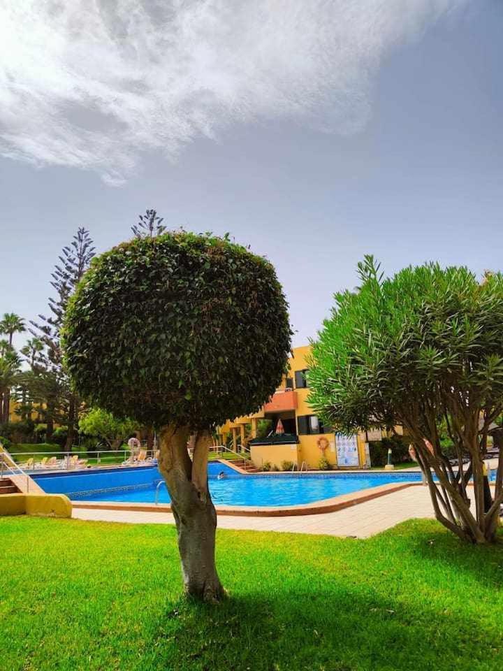 Apartamento Atlantic Garden Ocean 290